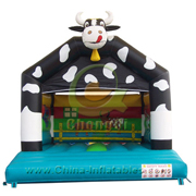 inflatable bouncer